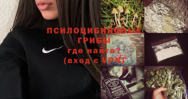 тгк Белокуриха