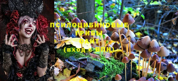 соль курить ск Богданович